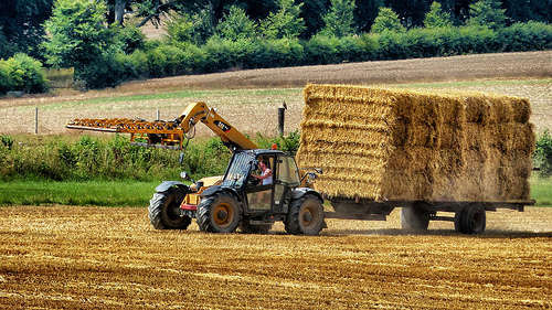 Agricolture - foto di Ian A Kirk.