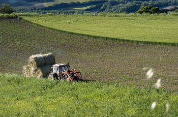 Agricoltura - Author: pasqualefiorillo / photo on flickr 