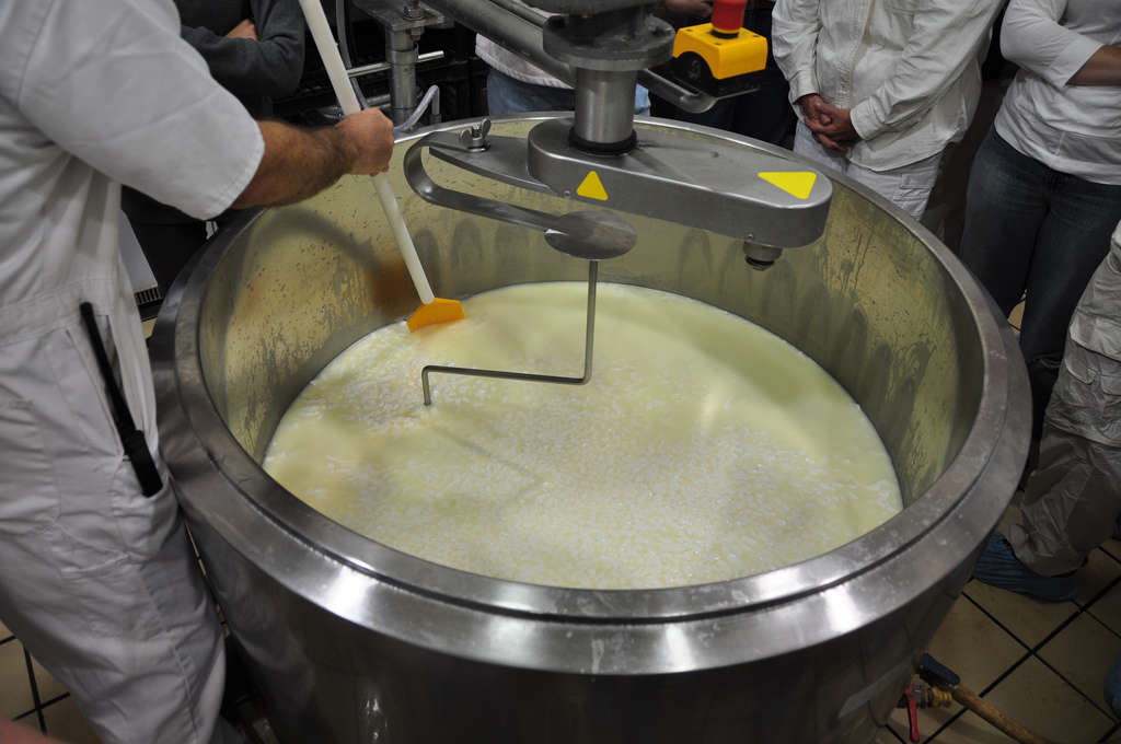 Cheese production - Photo credit: jesssse / Foter / CC BY