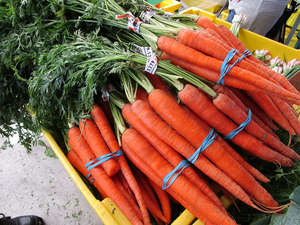 Organic Carrots, Scottsdale Old Town Farmers' Market