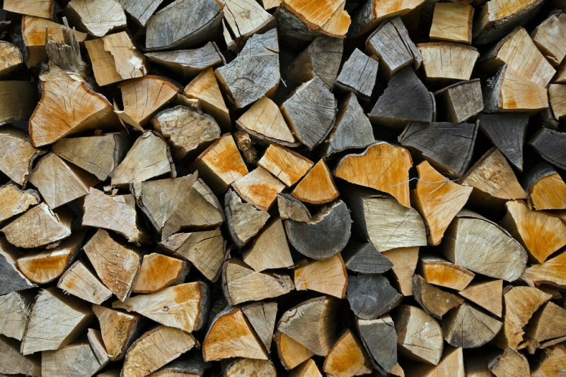 Biomasse - Author: Horia Varlan / photo on flickr 