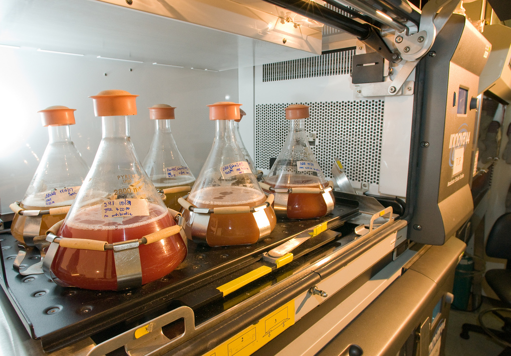 Biofuel - Author: Argonne National Laboratory / photo on flickr 