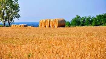 Agricoltura - Pixabay
