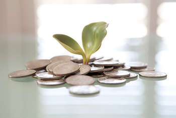 Finanza sostenibile - Photo credit: Tax Credits