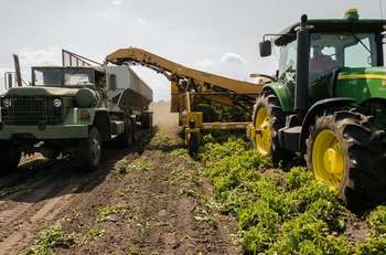 Agricoltura - Foto di John Lambeth da Pexels