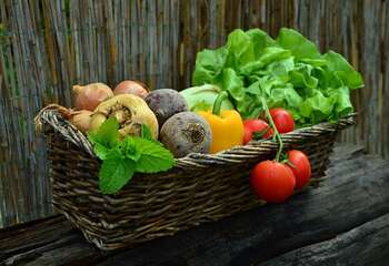 Agricoltura - Photo credit: Foto di congerdesign da Pixabay