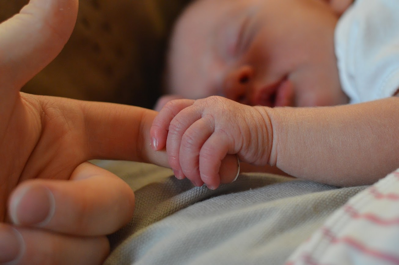 Foto di Wayne Evans da Pexels