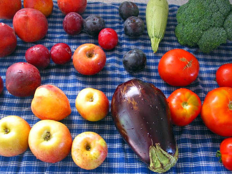 Fruits - foto di Emerika