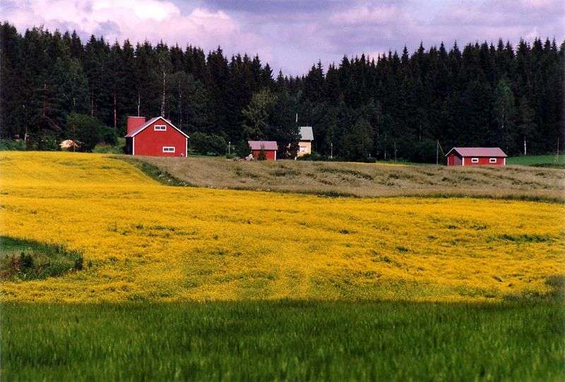 Paesaggio agricolo - Foto di Petritap