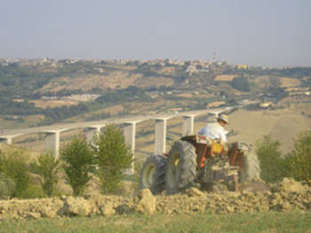 Agriculture - foto di rogilde - roberto la forgia