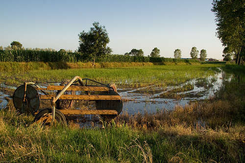 Agricoltura - foto di 2darkwings