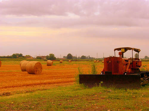 Agricolture - foto di davide - diploD
