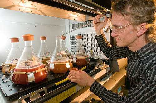 Chimica - foto di Argonne National Laboratory